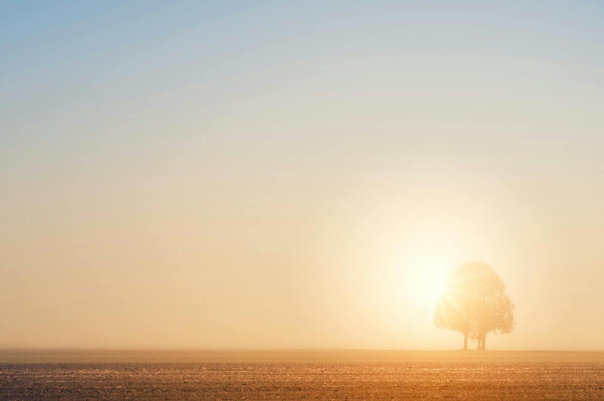 pexels_jplenio_1632781.jpg